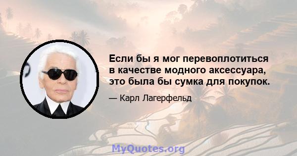 Если бы я мог перевоплотиться в качестве модного аксессуара, это была бы сумка для покупок.