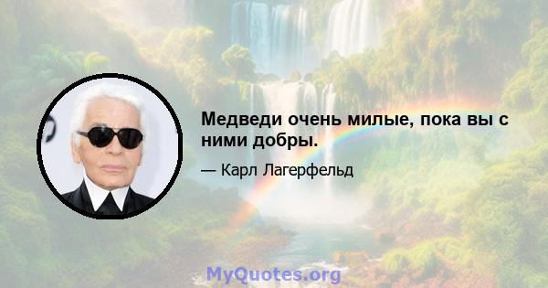 Медведи очень милые, пока вы с ними добры.