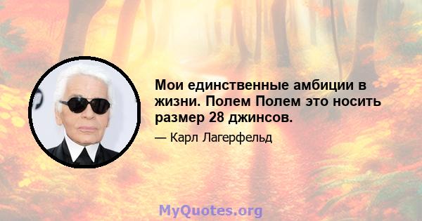 Мои единственные амбиции в жизни. Полем Полем это носить размер 28 джинсов.