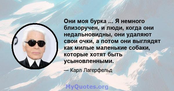 Они моя бурка ... Я немного близоручен, и люди, когда они недальновидны, они удаляют свои очки, а потом они выглядят как милые маленькие собаки, которые хотят быть усыновленными.