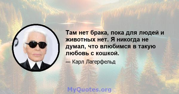 Там нет брака, пока для людей и животных нет. Я никогда не думал, что влюбимся в такую ​​любовь с кошкой.