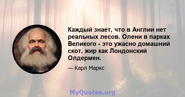 Каждый знает, что в Англии нет реальных лесов. Олени в парках Великого - это ужасно домашний скот, жир как Лондонский Олдермен.