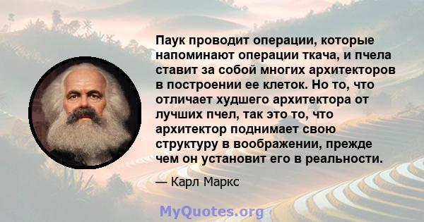 Паук проводит операции, которые напоминают операции ткача, и пчела ставит за собой многих архитекторов в построении ее клеток. Но то, что отличает худшего архитектора от лучших пчел, так это то, что архитектор поднимает 