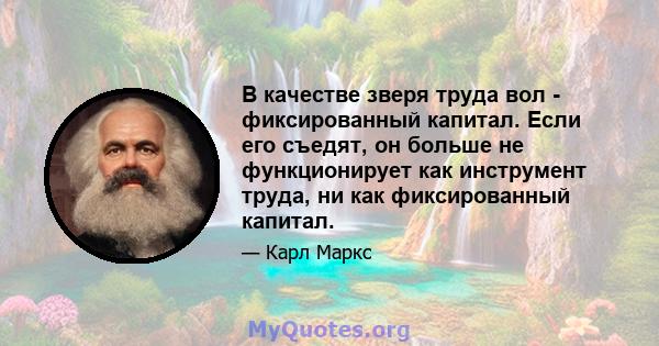 В качестве зверя труда вол - фиксированный капитал. Если его съедят, он больше не функционирует как инструмент труда, ни как фиксированный капитал.