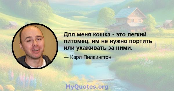 Для меня кошка - это легкий питомец, им не нужно портить или ухаживать за ними.