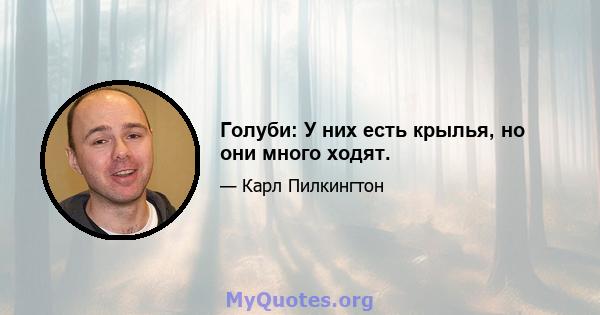 Голуби: У них есть крылья, но они много ходят.