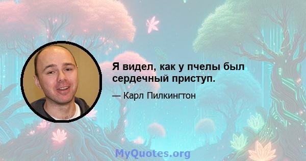 Я видел, как у пчелы был сердечный приступ.