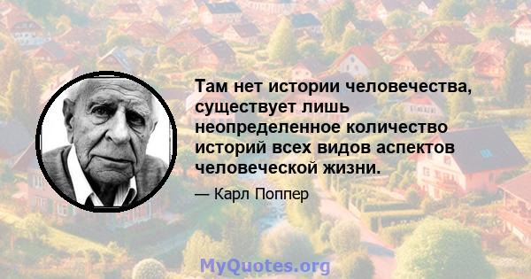 Там нет истории человечества, существует лишь неопределенное количество историй всех видов аспектов человеческой жизни.