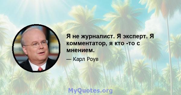 Я не журналист. Я эксперт. Я комментатор, я кто -то с мнением.