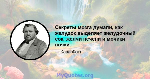 Секреты мозга думали, как желудок выделяет желудочный сок, желчи печени и мочики почки.