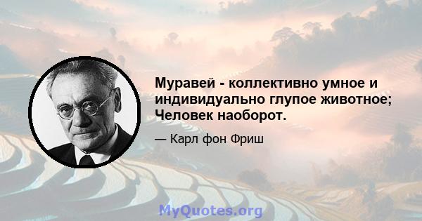 Муравей - коллективно умное и индивидуально глупое животное; Человек наоборот.