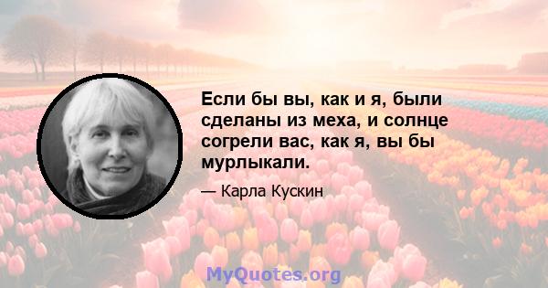 Если бы вы, как и я, были сделаны из меха, и солнце согрели вас, как я, вы бы мурлыкали.