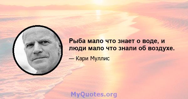 Рыба мало что знает о воде, и люди мало что знали об воздухе.