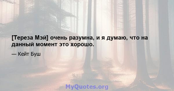 [Тереза ​​Мэй] очень разумна, и я думаю, что на данный момент это хорошо.