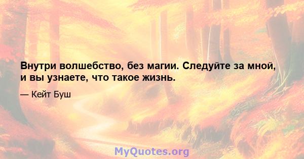 Внутри волшебство, без магии. Следуйте за мной, и вы узнаете, что такое жизнь.