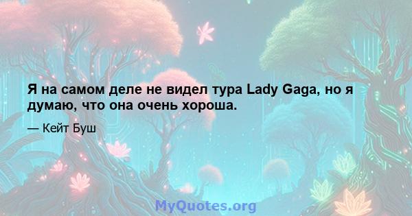 Я на самом деле не видел тура Lady Gaga, но я думаю, что она очень хороша.