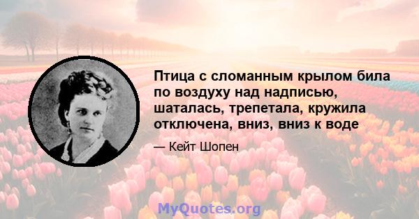 Птица с сломанным крылом била по воздуху над надписью, шаталась, трепетала, кружила отключена, вниз, вниз к воде