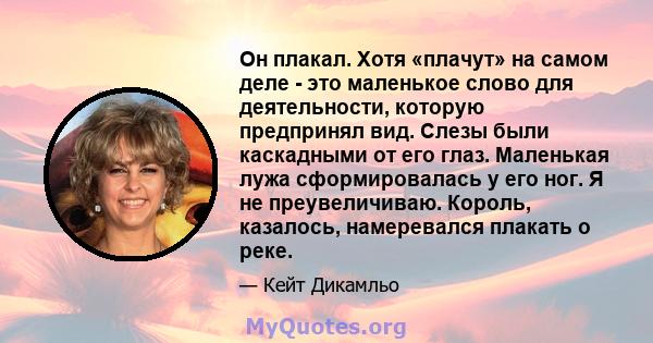 Он плакал. Хотя «плачут» на самом деле - это маленькое слово для деятельности, которую предпринял вид. Слезы были каскадными от его глаз. Маленькая лужа сформировалась у его ног. Я не преувеличиваю. Король, казалось,