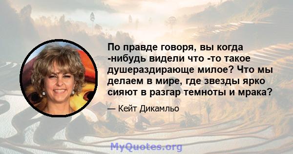 По правде говоря, вы когда -нибудь видели что -то такое душераздирающе милое? Что мы делаем в мире, где звезды ярко сияют в разгар темноты и мрака?