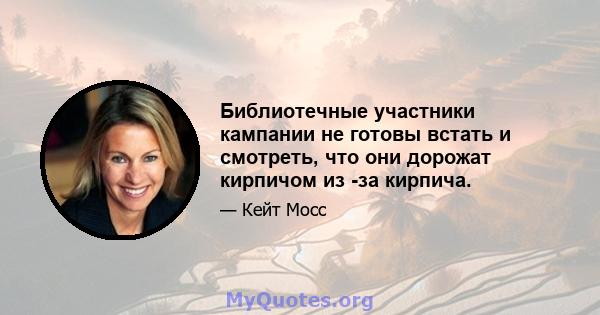 Библиотечные участники кампании не готовы встать и смотреть, что они дорожат кирпичом из -за кирпича.