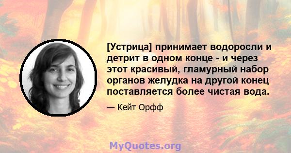 [Устрица] принимает водоросли и детрит в одном конце - и через этот красивый, гламурный набор органов желудка на другой конец поставляется более чистая вода.