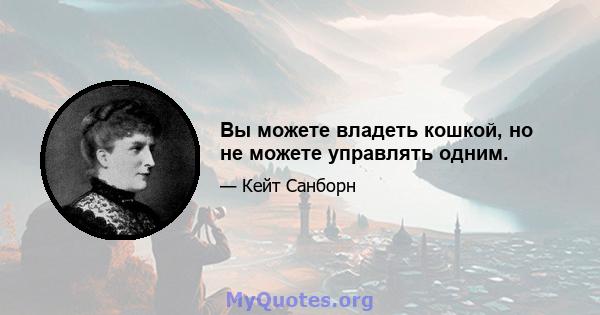 Вы можете владеть кошкой, но не можете управлять одним.