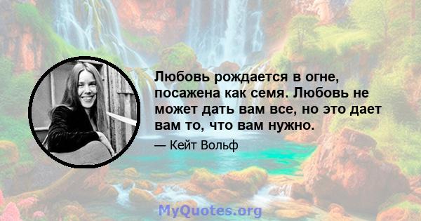 Любовь рождается в огне, посажена как семя. Любовь не может дать вам все, но это дает вам то, что вам нужно.