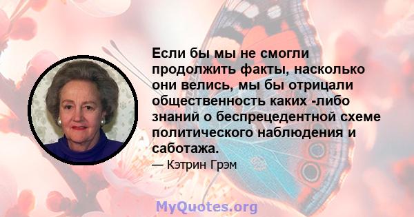 Если бы мы не смогли продолжить факты, насколько они велись, мы бы отрицали общественность каких -либо знаний о беспрецедентной схеме политического наблюдения и саботажа.