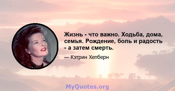 Жизнь - что важно. Ходьба, дома, семья. Рождение, боль и радость - а затем смерть.