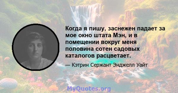 Когда я пишу, заснежен падает за мое окно штата Мэн, и в помещении вокруг меня половина сотен садовых каталогов расцветает.