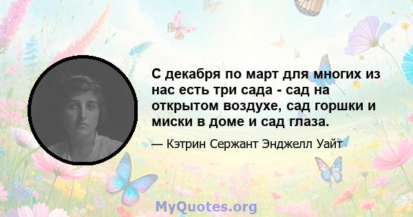 С декабря по март для многих из нас есть три сада - сад на открытом воздухе, сад горшки и миски в доме и сад глаза.