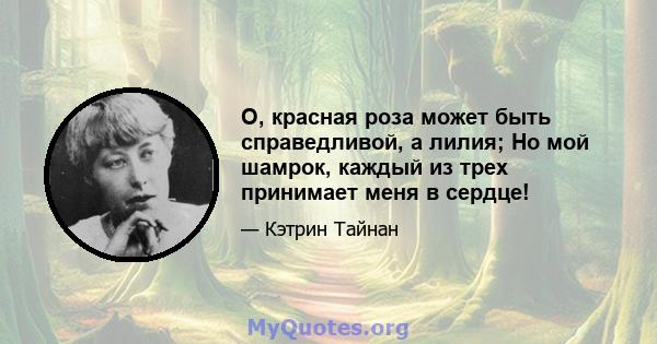 O, красная роза может быть справедливой, а лилия; Но мой шамрок, каждый из трех принимает меня в сердце!