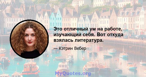 Это отличный ум на работе, изучающий себя. Вот откуда взялась литература.