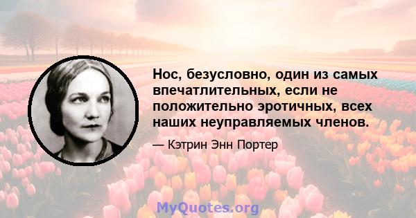 Нос, безусловно, один из самых впечатлительных, если не положительно эротичных, всех наших неуправляемых членов.