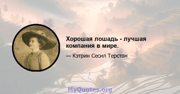 Хорошая лошадь - лучшая компания в мире.