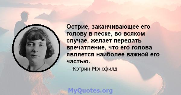 Острие, заканчивающее его голову в песке, во всяком случае, желает передать впечатление, что его голова является наиболее важной его частью.