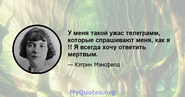 У меня такой ужас телеграмм, которые спрашивают меня, как я !! Я всегда хочу ответить мертвым.