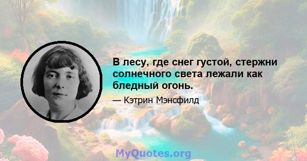 В лесу, где снег густой, стержни солнечного света лежали как бледный огонь.