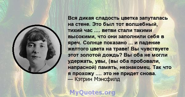 Вся дикая сладость цветка запуталась на стене. Это был тот волшебный, тихий час .... ветви стали такими высокими, что они заполнили себя в яреч. Солнце показано ... и падение желтого цвета на траве! Вы чувствуете этот