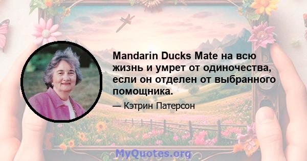 Mandarin Ducks Mate на всю жизнь и умрет от одиночества, если он отделен от выбранного помощника.