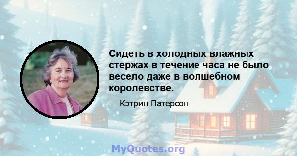 Сидеть в холодных влажных стержах в течение часа не было весело даже в волшебном королевстве.