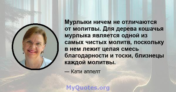 Мурлыки ничем не отличаются от молитвы. Для дерева кошачья мурлыка является одной из самых чистых молитв, поскольку в нем лежит целая смесь благодарности и тоски, близнецы каждой молитвы.