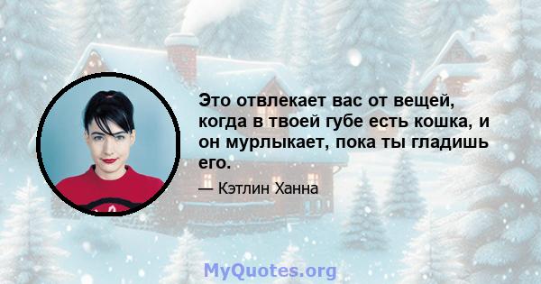 Это отвлекает вас от вещей, когда в твоей губе есть кошка, и он мурлыкает, пока ты гладишь его.