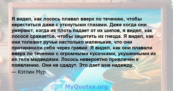 Я видел, как лосось плавал вверх по течению, чтобы нереститься даже с уткнутыми глазами. Даже когда они умирают, когда их плоть падает от их шипов, я видел, как лосося сражается, чтобы защитить их гнезда. Я видел, как