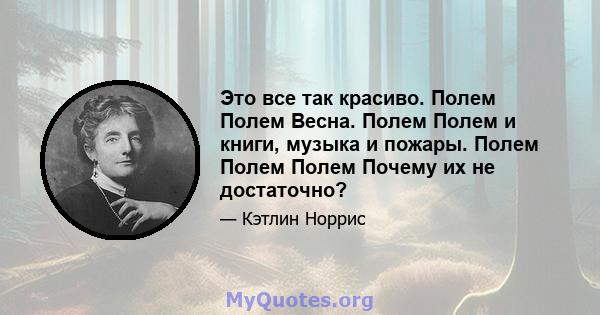 Это все так красиво. Полем Полем Весна. Полем Полем и книги, музыка и пожары. Полем Полем Полем Почему их не достаточно?