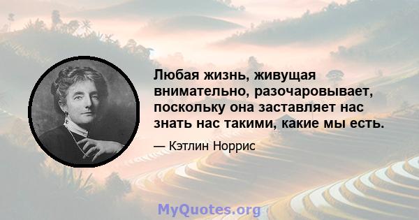 Любая жизнь, живущая внимательно, разочаровывает, поскольку она заставляет нас знать нас такими, какие мы есть.