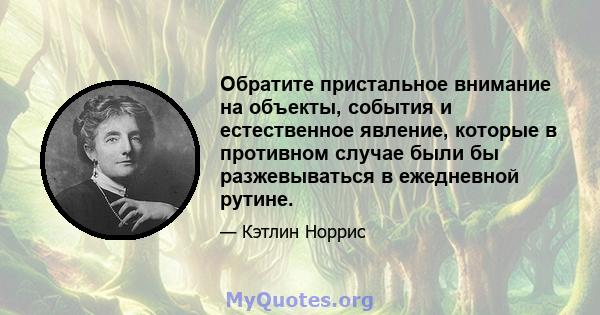 Обратите пристальное внимание на объекты, события и естественное явление, которые в противном случае были бы разжевываться в ежедневной рутине.