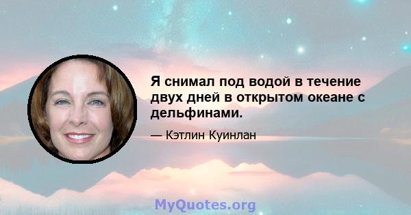 Я снимал под водой в течение двух дней в открытом океане с дельфинами.