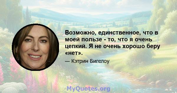 Возможно, единственное, что в моей пользе - то, что я очень цепкий. Я не очень хорошо беру «нет».