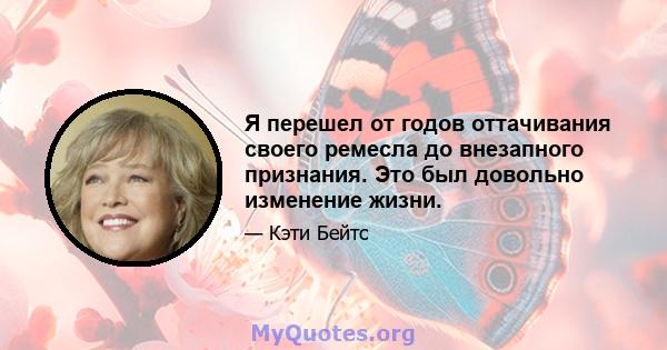 Я перешел от годов оттачивания своего ремесла до внезапного признания. Это был довольно изменение жизни.